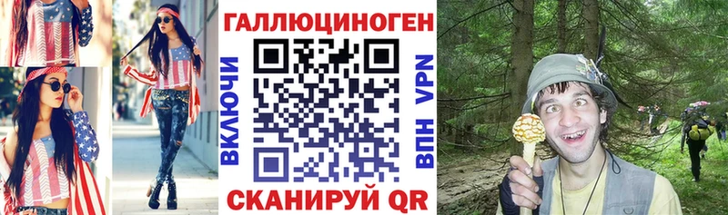 Псилоцибиновые грибы Psilocybe  Сысерть 